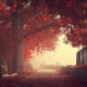 nature, fog, landscapes, fall, autumn, fences, trees, mist, roads, leaves wallpaper