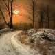 winter, sun, norway, road, tree, nature, dry grass, snow wallpaper