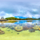 coral, reef, naigani, island, sea, ocean, nature, fiji wallpaper