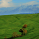Italy, Tuscany, nature, landscape, clouds, hill, grass, field, trees, house, green wallpaper