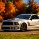 2012 roush 427r ford mustang, car, ford mustang, ford wallpaper
