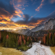 fall, forest, autumn, nature, landscape, sunset, mountains, sky, clouds, pine tree wallpaper