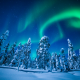 lapland, finland, winter, snow, tree, northen lights, aurora wallpaper