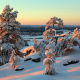 finland, lapland, winter, sunset, snow, tree, nature wallpaper