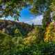 stourhead garden, wiltshire, england, tree, forest, nature wallpaper