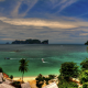 palm tree, tropical, beach, thailand, phi-phi, sea wallpaper