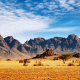 Namibia, Africa, nature, landscape, mountain, clouds, desert, rock, trees, stones, plants wallpaper