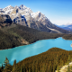 peyto lake, banff, alberta, canada, lake, mountains, nature, forest wallpaper