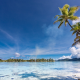 eden, french polynesia, beach, palm trees, nature, island, sea, tropical wallpaper