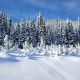 winter, snow, drifts, tree, nature, landscape wallpaper