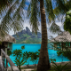 nature, landscape, tropical, island, beach, resorts, palm trees, sea, Bora Bora, Vacations, summer,  wallpaper