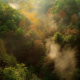 nature, landscape, fall, forest, mountain, mist, morning, trees, sunrise wallpaper