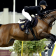 equitation, jumping, horse, horse riding, sport wallpaper