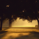 trees, sunlight, mist, photography, benches, sunset wallpaper