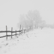 nature, winter, snow, frost, blizzard, fog wallpaper