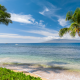 hawaii, tropics, sea, beach, coast, palms, sand, sky, usa, nature wallpaper
