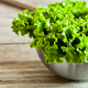 bowl, salad, green salad, food wallpaper