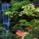 usa, garden, waterfall, portland, oregon, nature wallpaper