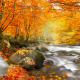 nature, autumn, romania, forest, river, waterfall, tree, leaves, stones wallpaper