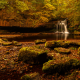 west burton, cauldron, falls, autumn, yorkshire dales, forest, rocks, stream, brook, waterfall, tree, stones, nature wallpaper