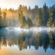 nature, fall, finland, forest, pond, lake, morning, sunrise, fog wallpaper