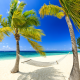 resort, palm trees, vacation, hammock, beach, ocean, caribbean beach wallpaper