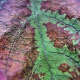 leaf, close-up, macro, nature, autumn wallpaper