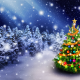 toys, snow, winter, holidays, christmas, christmas tree, new year wallpaper