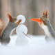 squirrel, carrot, snowman, winter, humor, animals, christmas wallpaper