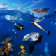 mermaid, underwater, dolphins, coral reef, collage wallpaper