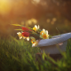 nature, spring, grass, hat, flowers, daffodils, tulips wallpaper