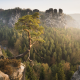 cliff, nature, landscape, tree, mountains, rock, bastei, elbe sandstone mountains, germany, saxon switzerland wallpaper
