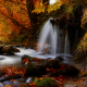donca river, romania, nature, autumn, leaves, forest, river, stream, stones, waterfall wallpaper