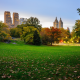 central park, manhattan, new york, city, nature, park, trees, grass, leaves, leaf fall wallpaper