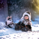 boy, snow, winter forest, puppy, husky, animals, dog, winter wallpaper
