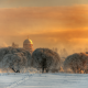 church, nature, winter, snow, tree, frost, dome, sunset, saint-petersburg, russia wallpaper