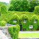 house, ivy, wales, england wallpaper