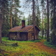 forest, hut, finland, tree wallpaper