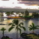 ocean, palm trees, twilight, hawaii, island hilo, usa, nature, palm, sea wallpaper