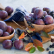 fruit, food, plums, plum wallpaper