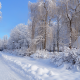 nature, winter, road, house, trees, birches, snow, russia wallpaper