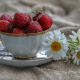 cup, berry, strawberry, flowers, daisies, summer wallpaper