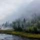 landscape, nature, Yellowstone National Park, forest, river, mist, mountain, trees, grass wallpaper