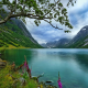 nature, landscape, lake, wildflowers, trees, Norway, grass, clouds, summer, water wallpaper