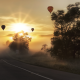 sunrise, road, balloon, trees, fog, nature, hot air balloon wallpaper