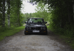BMW E28, Squatty, BMW, car, forest, tree, birch wallpaper