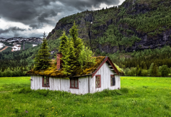 Norway, landscape, nature, summer, abandoned, grass, mountains, house, trees wallpaper