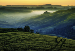 hill, fog, grass, valley, spring, nature, landscape wallpaper