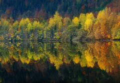 lake, reflection, nature, autumn, water, forest, landscape, tree wallpaper