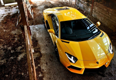 car, sports car, Lamborghini Aventador, dirt, Lamborghini wallpaper
